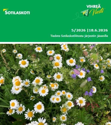 Vihreä viesti 5/26